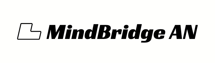 MindBridge AN